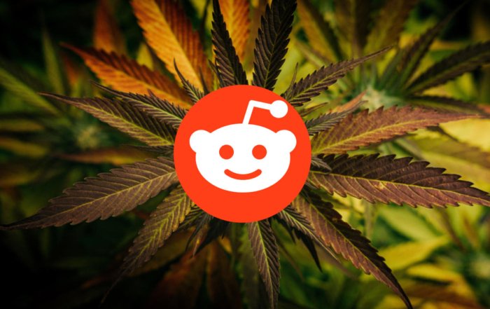 Reddit for Cannabis Businesses
